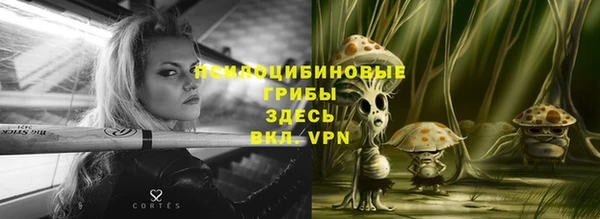 МДМА Алексеевка