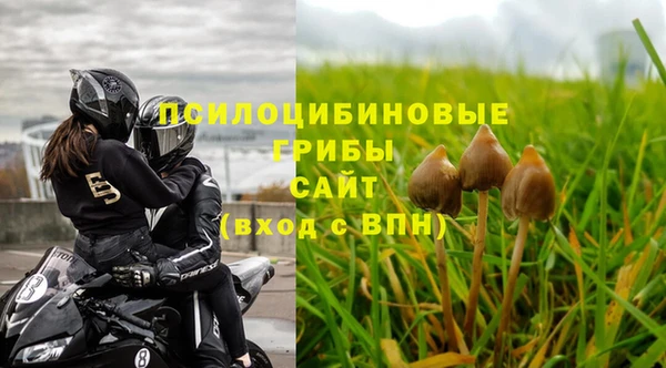 МДМА Алексеевка