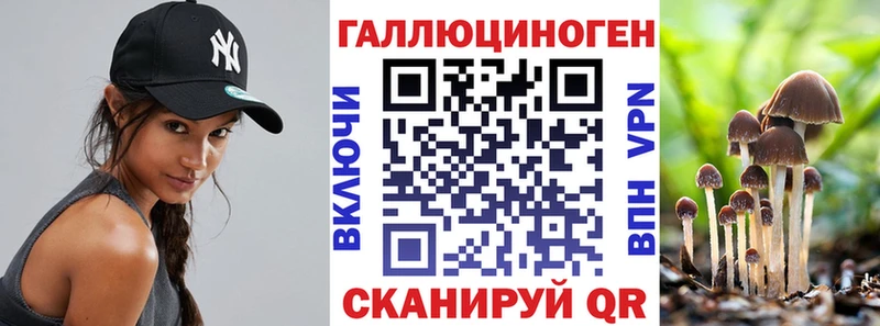 Псилоцибиновые грибы Cubensis  Сортавала 